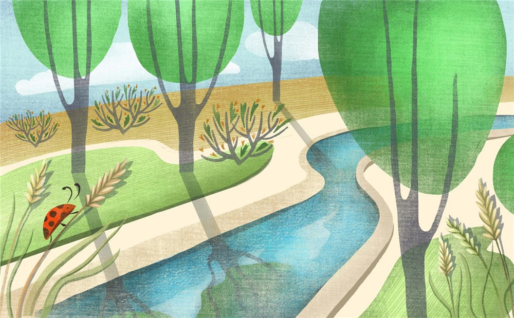 1579409863994383.jpg 1579402351134297.jpg