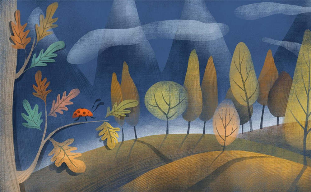 1579409870263886.jpg 1579402354994181.jpg