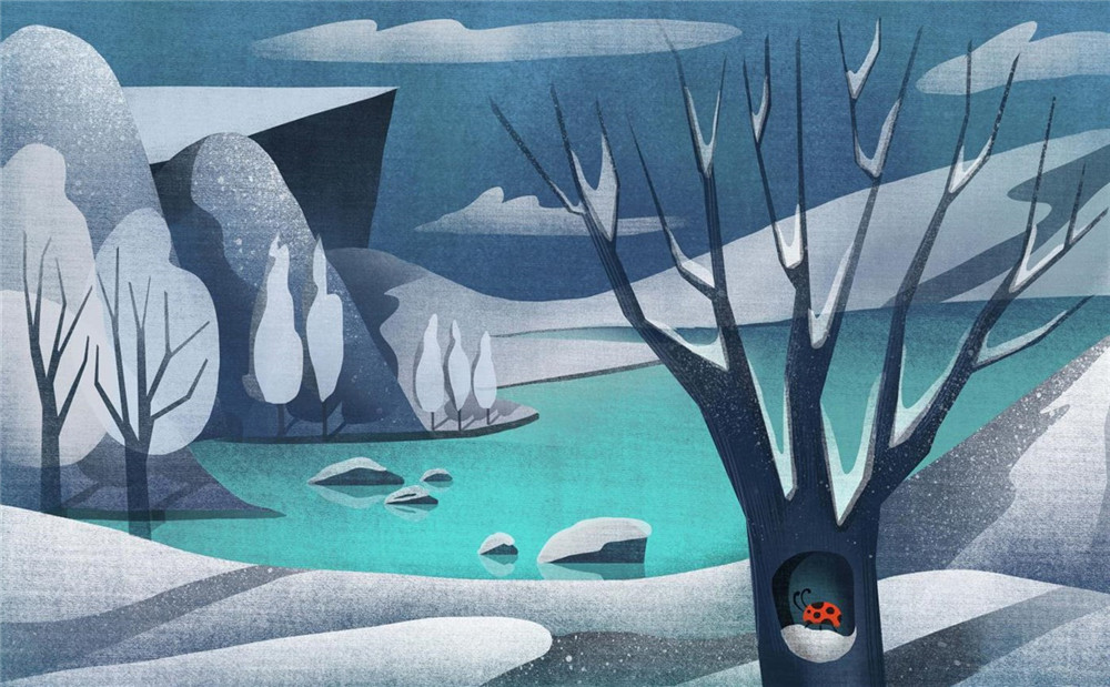 1579409879390637.jpg 1579402358526706.jpg