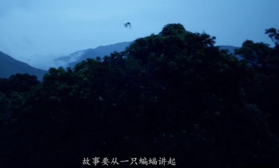 1581388023491242.jpg 1581320940721979.jpg