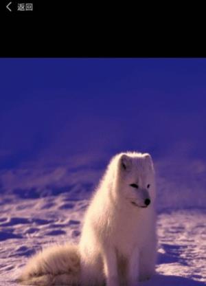 1626980878385955.jpg 1626980878385955.jpg